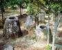 laos - plain of jars.jpg